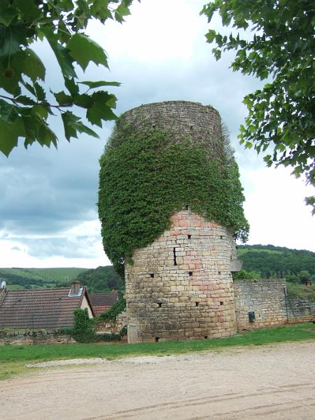2010-05- (132).JPG